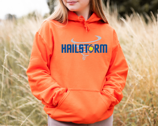 Hailstorm Hooded sweatshirt