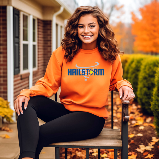 Hailstorm Crewneck sweatshirt